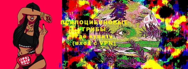 героин Новодвинск