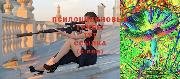 шишки Новозыбков