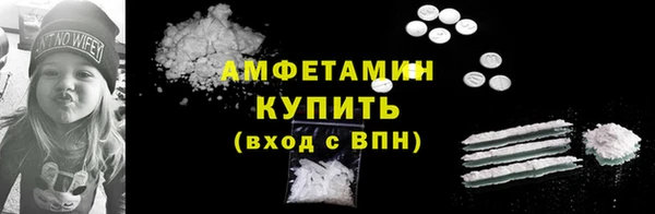 шишки Новозыбков