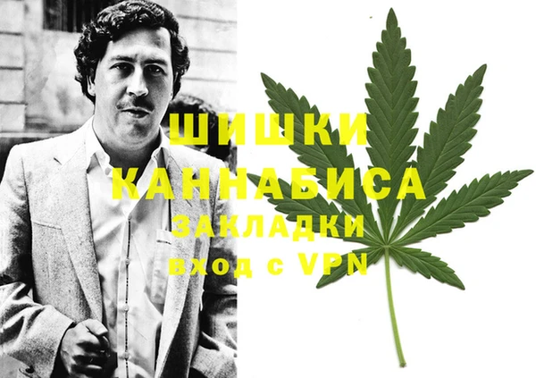 прущая мука Нея