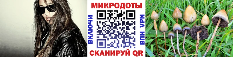 Псилоцибиновые грибы мухоморы Лянтор